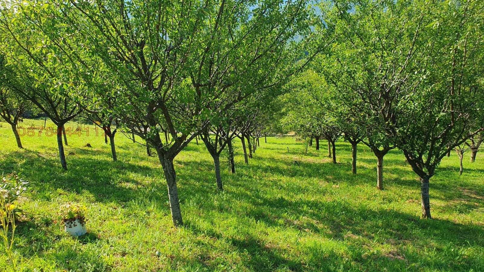 Продава ПАРЦЕЛ, гр. Троян, област Ловеч, снимка 2 - Парцели - 53903628