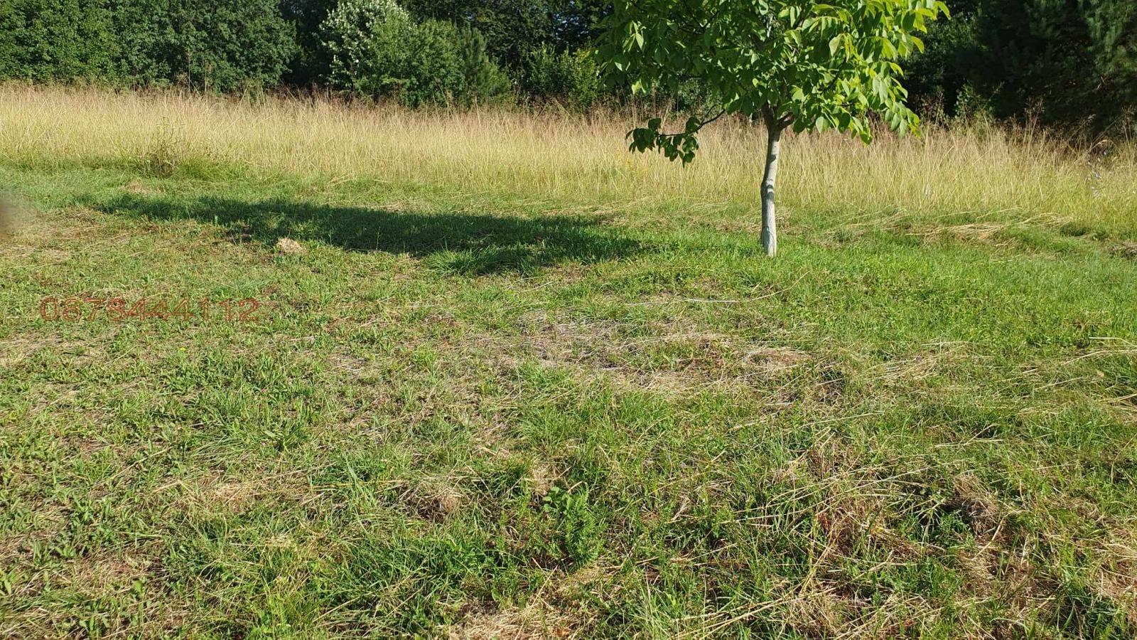 Продава ПАРЦЕЛ, гр. Троян, област Ловеч, снимка 2 - Парцели - 53903628