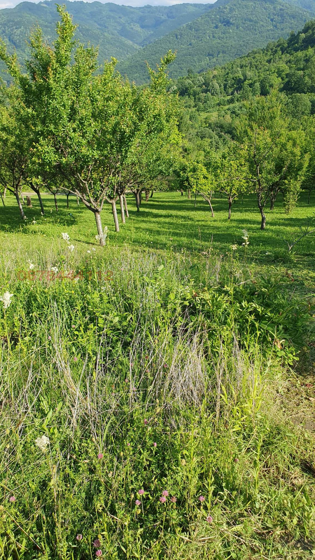 Продава ПАРЦЕЛ, гр. Троян, област Ловеч, снимка 8 - Парцели - 53903628