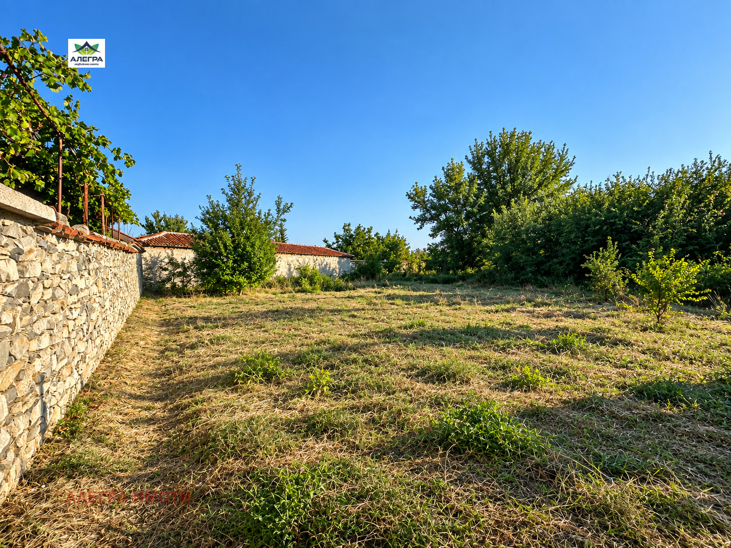 Продава ПАРЦЕЛ, с. Виноградец, област Пазарджик, снимка 2 - Парцели - 56296974