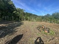 Продава ПАРЦЕЛ, гр. Варна, м-т Перчемлията, снимка 6