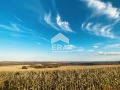 Продава  Парцел област Варна , с. Здравец , 3100 кв.м | 83292990 - изображение [2]