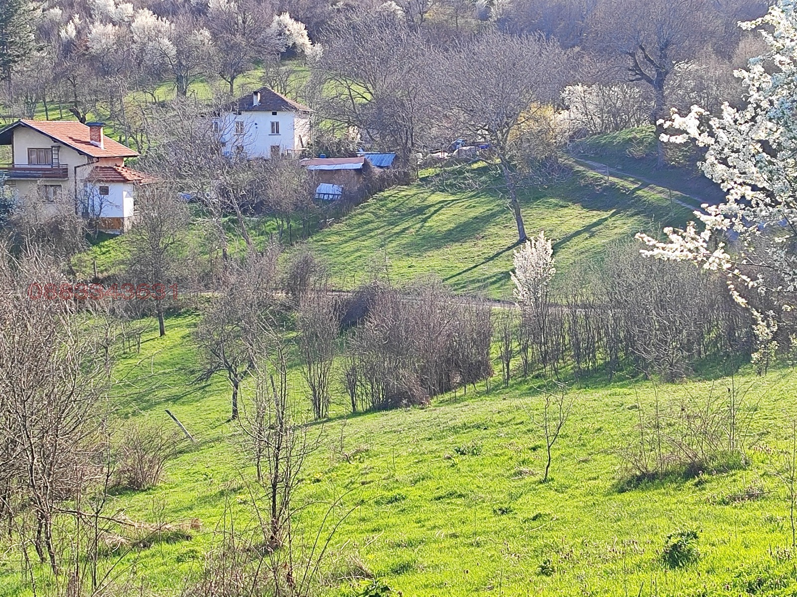 ������� ������ | Imot.bg � ����������� 7