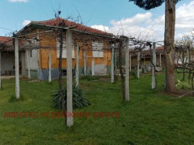 ����� ������� ����,�. ������ ������, ������ �������