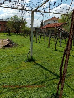 ������� ���� | Imot.bg � ����� ������ 8