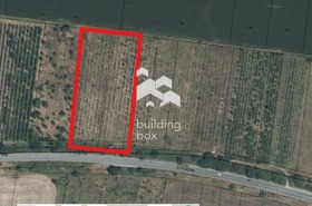 ����� ������� ������,�. �������, ������ �������