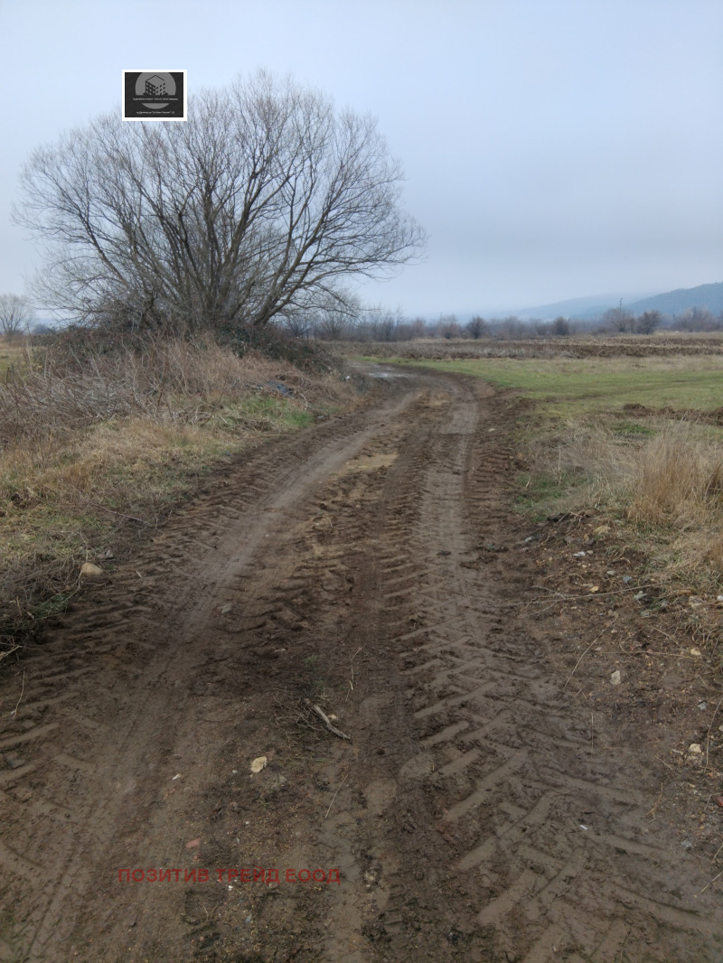 Продава ПАРЦЕЛ, с. Самораново, област Кюстендил, снимка 3 - Парцели - 53205215