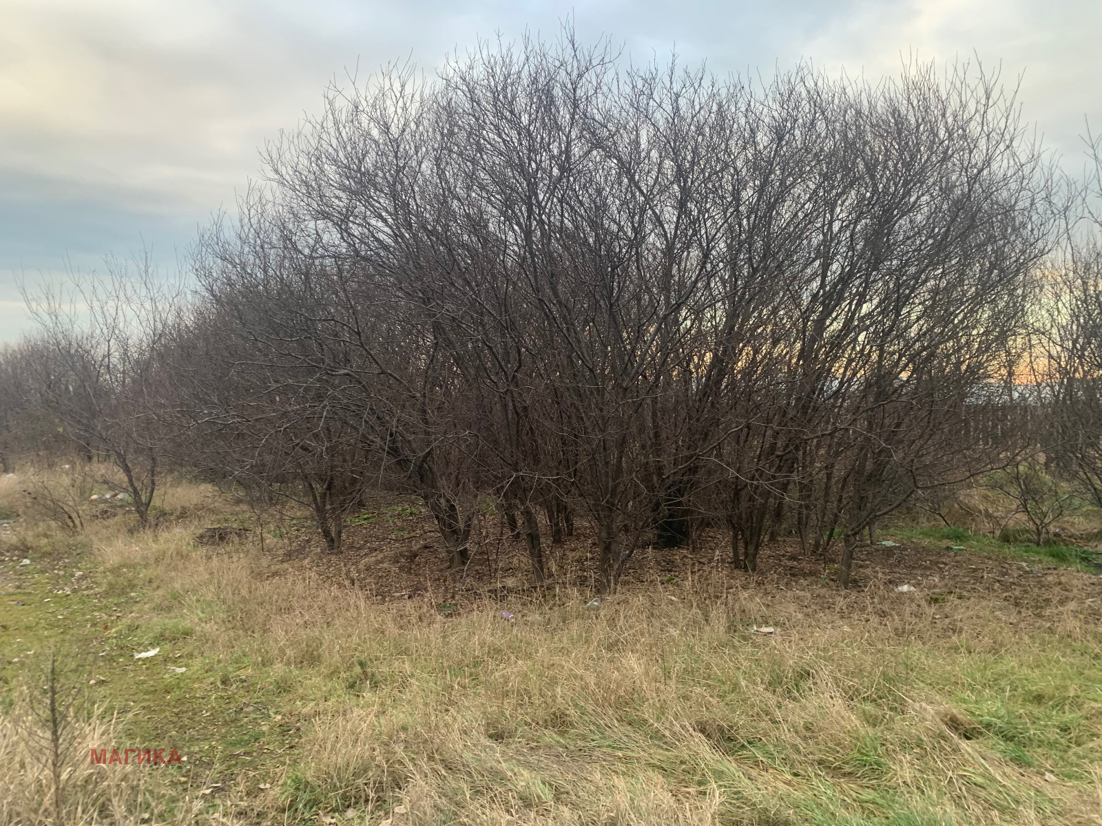 Продава ПАРЦЕЛ | Imot.bg — изображение 6