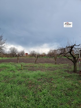 Hus Pshenichevo, region Stara Zagora 2