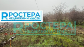 ������ ������� ����