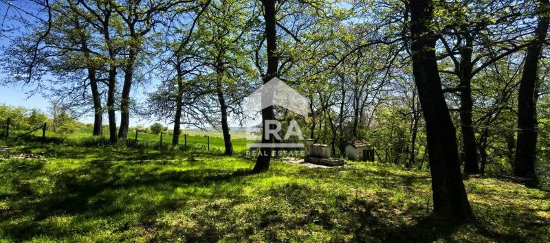 For Sale  Plot region Varna , Avren , 134620 sq.m | 49264424 - image [6]