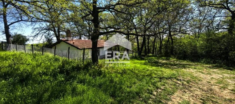 For Sale  Plot region Varna , Avren , 134620 sq.m | 49264424 - image [5]