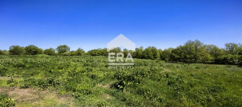 For Sale  Plot region Varna , Avren , 134620 sq.m | 49264424 - image [3]