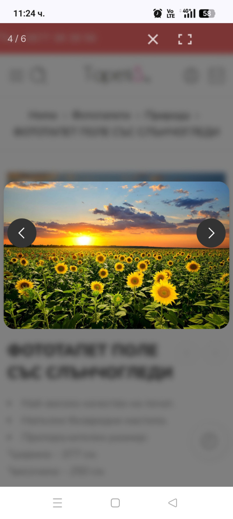 Продава ЗЕМЕДЕЛСКА ЗЕМЯ, с. Александрия, област Добрич