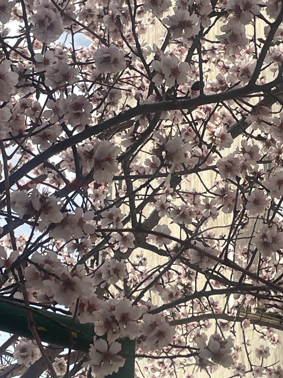 Продава 2-СТАЕН, гр. Варна, Галата, снимка 9 - Апартаменти - 54251947