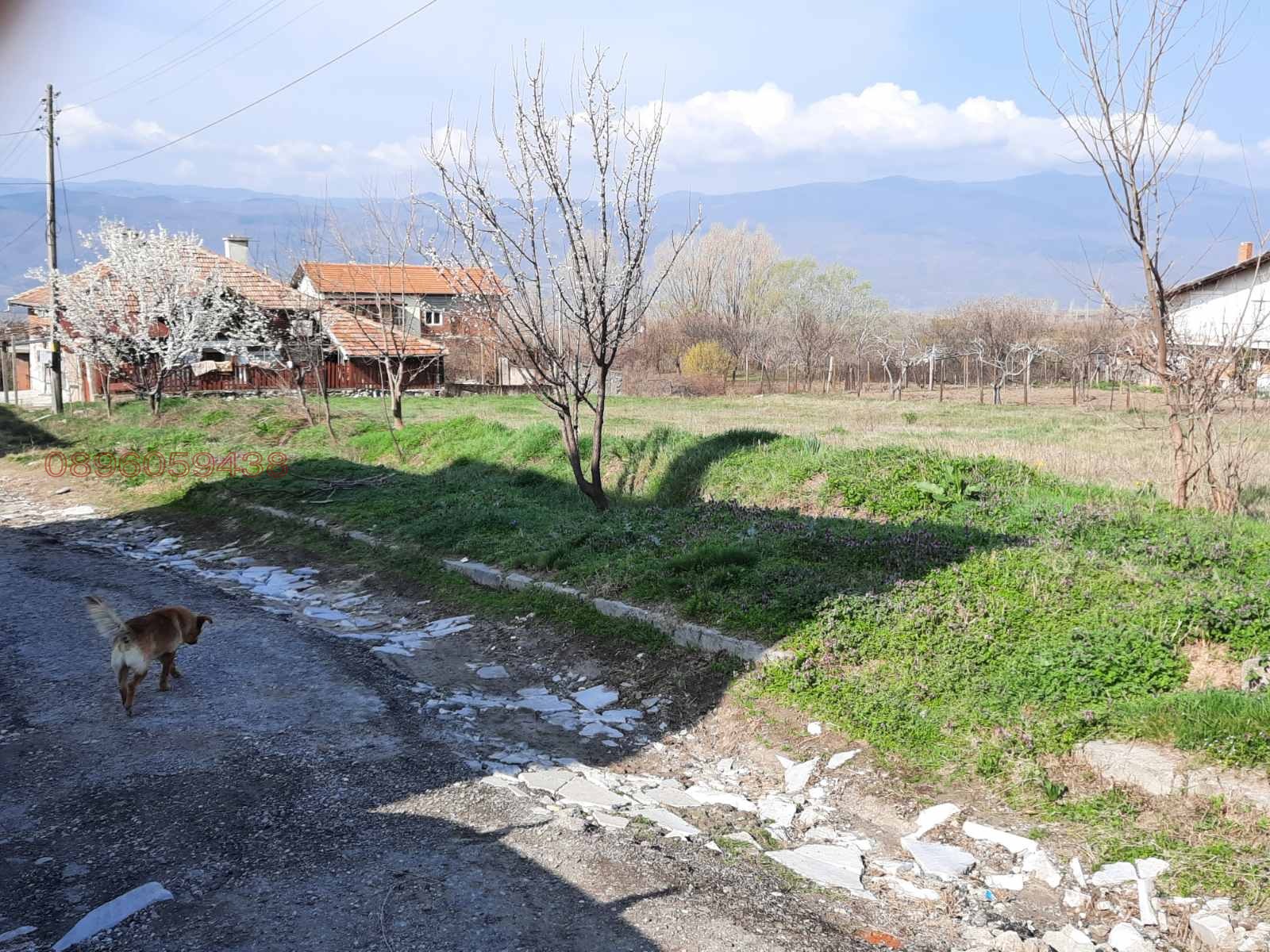 ������� ������ | Imot.bg � ����������� 1