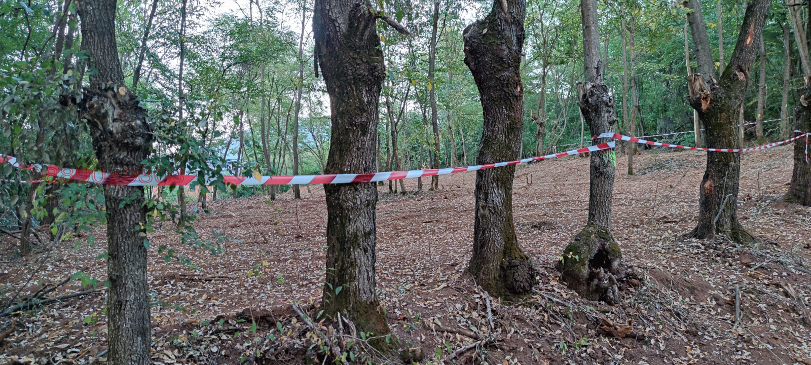 ������� ������ | Imot.bg � ����������� 10