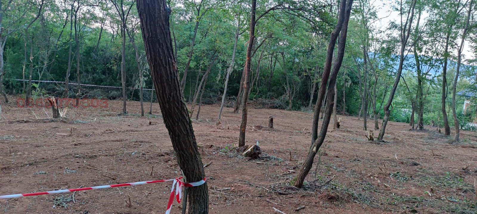 ������� ������ | Imot.bg � ����������� 1