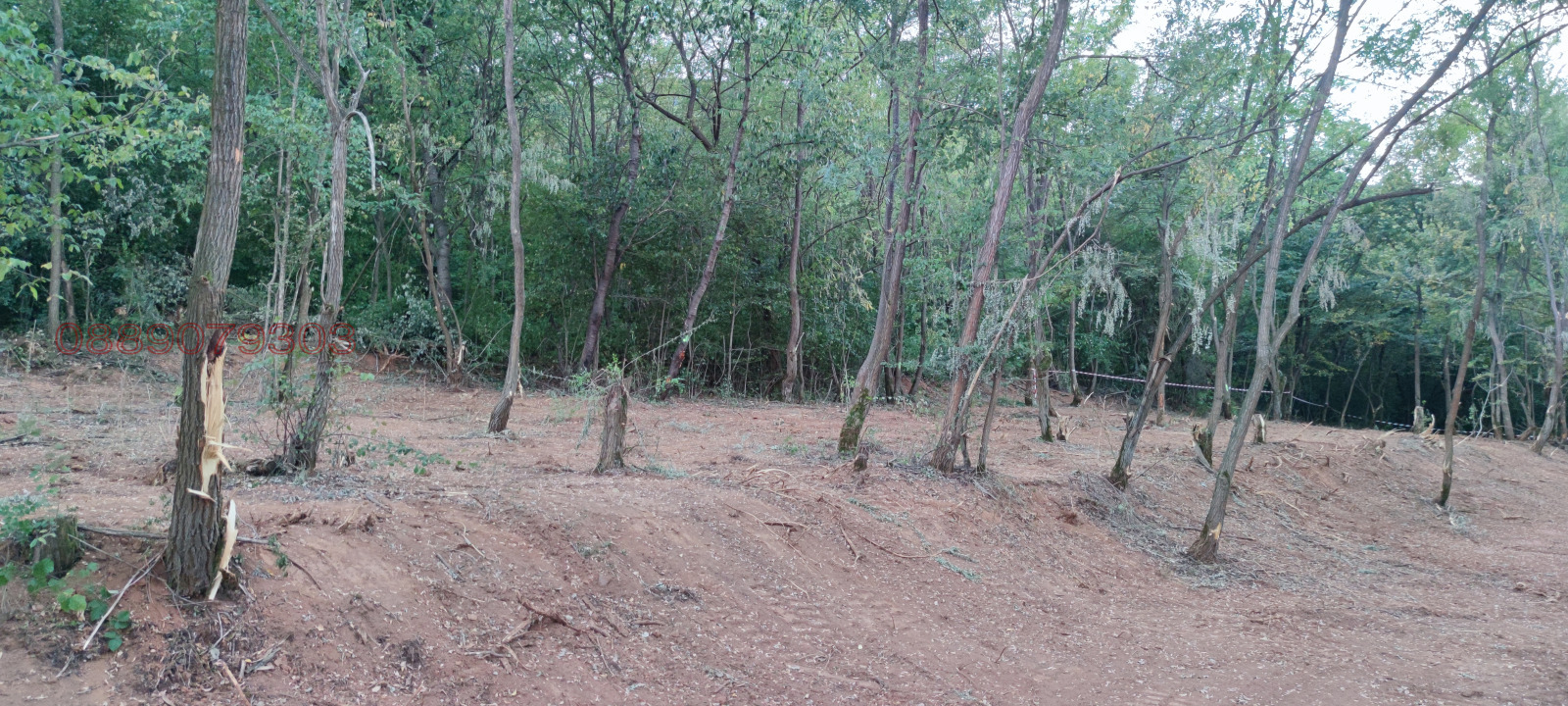 ������� ������ | Imot.bg � ����������� 7