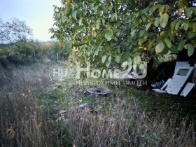 ����� ������� ����,�. ���������, ������ �����