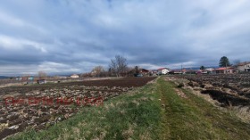 ������� ������ | Imot.bg � ����� ������ 2