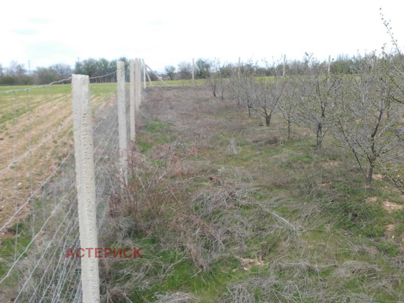 Te koop  Land regio Kjoestendil , Smotsjevo , 13 dka | 56233954 - afbeelding [9]