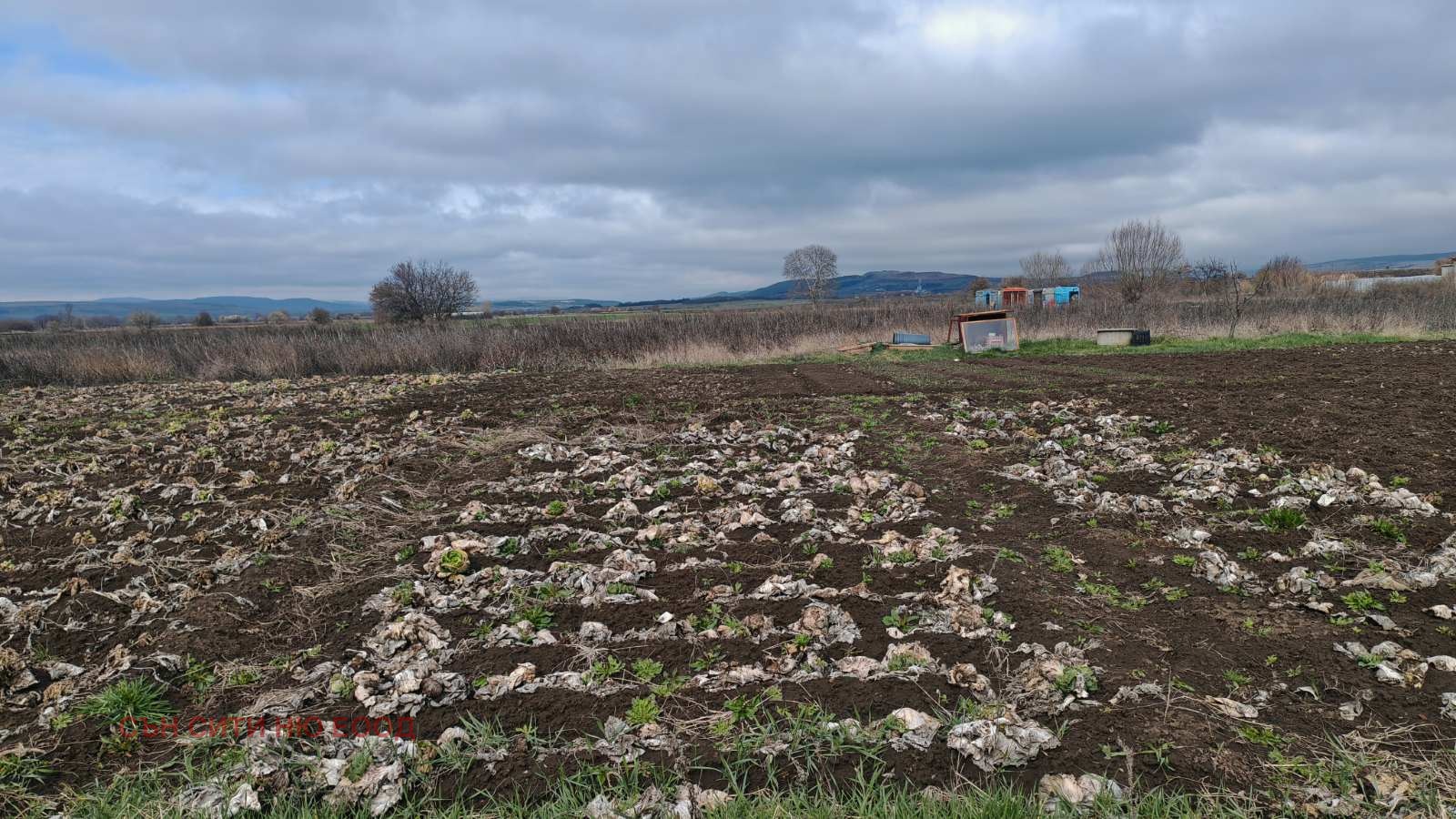 Продава ПАРЦЕЛ, с. Петърч, област София област, снимка 5 - Парцели - 54066667