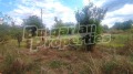 Продава ПАРЦЕЛ, с. Знаменосец, област Стара Загора, снимка 2