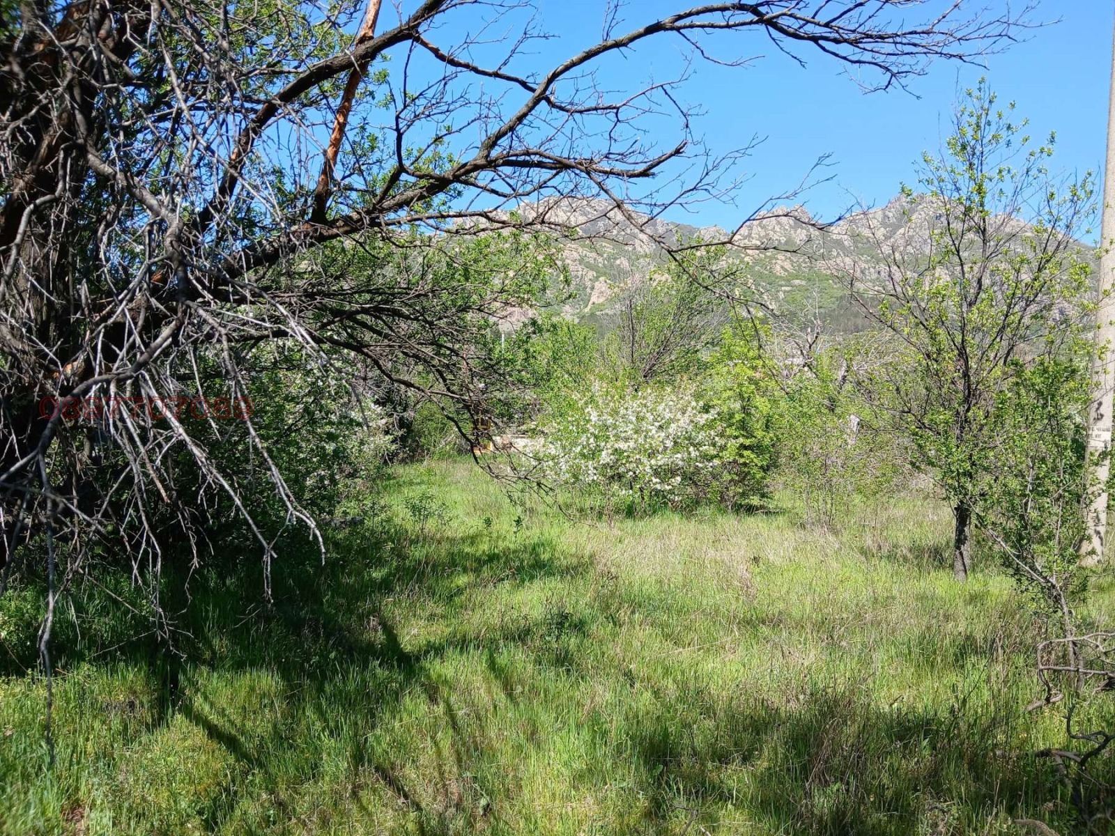 ������� ������ | Imot.bg � ����������� 1