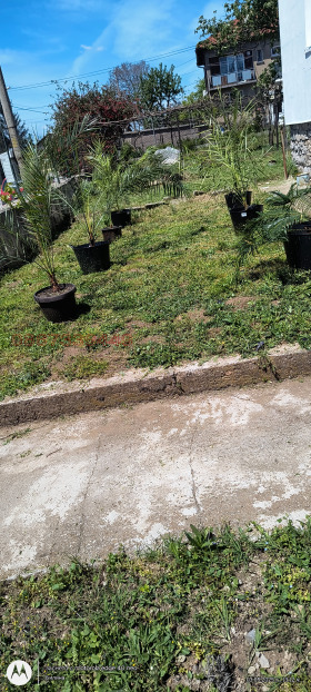   | Imot.bg    2