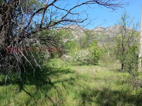 ПАРЦЕЛ, 2 600 m2