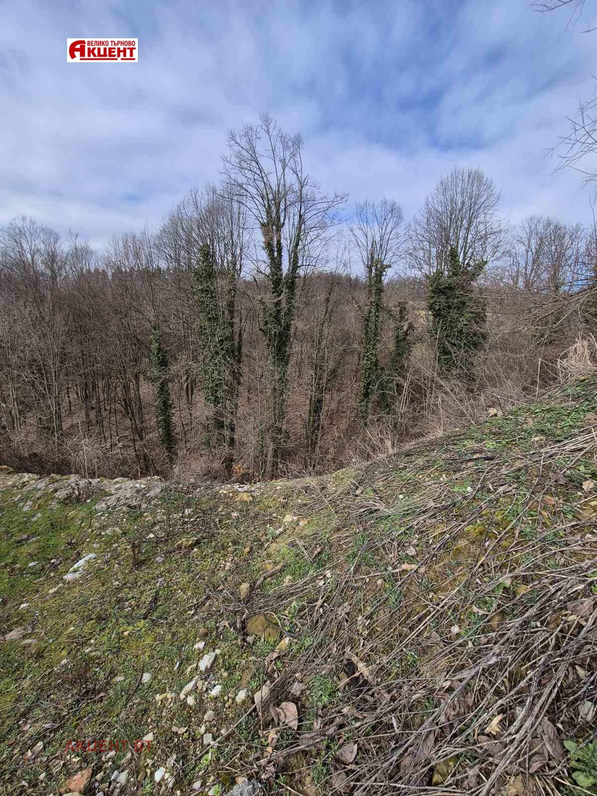 Продава КЪЩА, гр. Трявна, област Габрово, снимка 13 - Къщи - 53646943