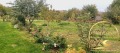 Продава  Къща област Пловдив , с. Селци , 60 кв.м | 35489604 - изображение [6]