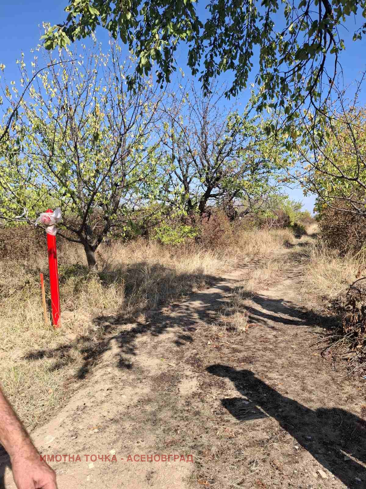 Продава ПАРЦЕЛ | Imot.bg — изображение 3