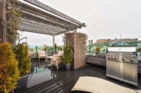 ����� ������� �������,���� �����, ������