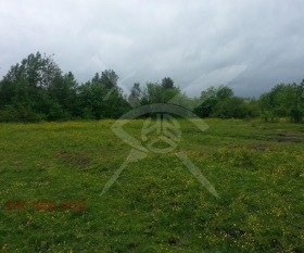 Плот Брестник, регион Пловдив
