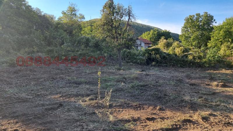 Продава ПАРЦЕЛ, с. Оряховица, област Стара Загора, снимка 4 - Парцели - 52783602