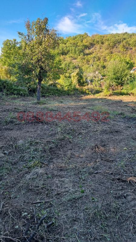 Продава ПАРЦЕЛ, с. Оряховица, област Стара Загора, снимка 9 - Парцели - 52783602