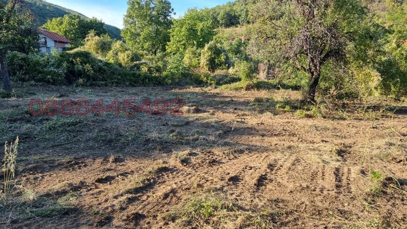 Продава ПАРЦЕЛ, с. Оряховица, област Стара Загора, снимка 5 - Парцели - 52783602
