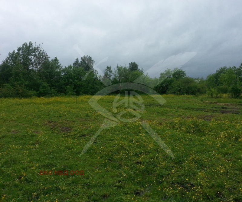 Продаја  Плот регион Пловдив , Брестник , 991 м2 | 99547715
