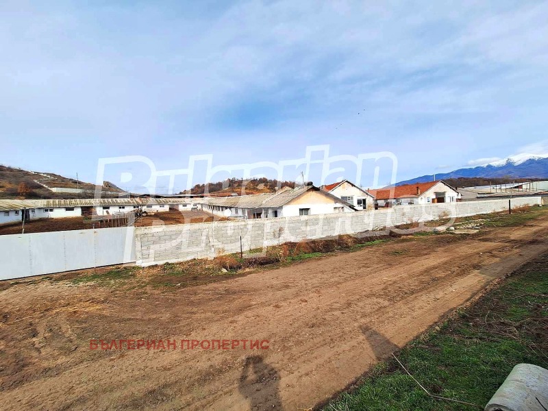 Продава БИЗНЕС ИМОТ, гр. Кочериново, област Кюстендил, снимка 3 - Други - 49792118