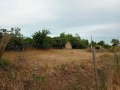 Продава КЪЩА, с. Аврен, област Варна, снимка 2