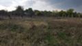 Продава ПАРЦЕЛ, с. Оряховица, област Стара Загора, снимка 2