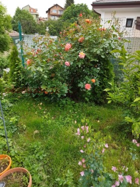 ������� ���� | Imot.bg � ����� ������ 2