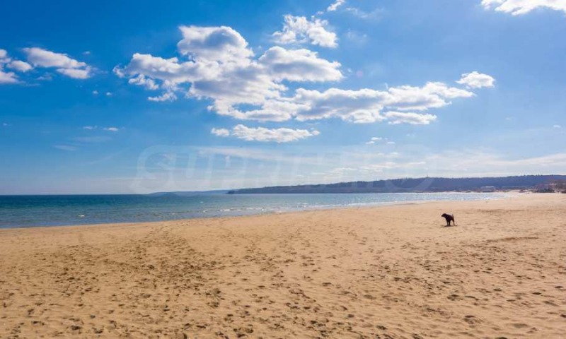 En venta  Estudio región Burgas , Sozopol , 44 metros cuadrados | 43758595 - imagen [16]