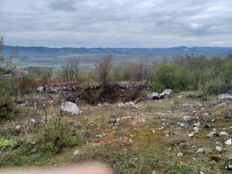 Продава ПАРЦЕЛ, с. Паволче, област Враца, снимка 8 - Парцели - 52783265