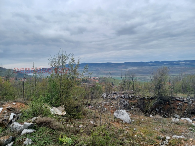 Продава ПАРЦЕЛ, с. Паволче, област Враца, снимка 7 - Парцели - 52783265