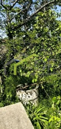 Продава ПАРЦЕЛ, град Варна, м-т Перчемлията • 72500 € • 44166153 — Holmes.bg