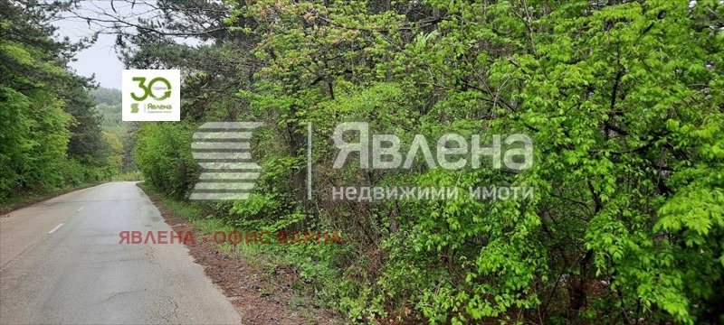 Продается  Сюжет Варна , м-т Манастирски рид , 3742 кв.м | 52074899