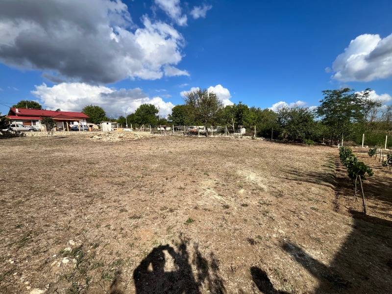 À venda  Casa região Varna , Zasmiano , 129 m² | 10854009 - imagem [4]